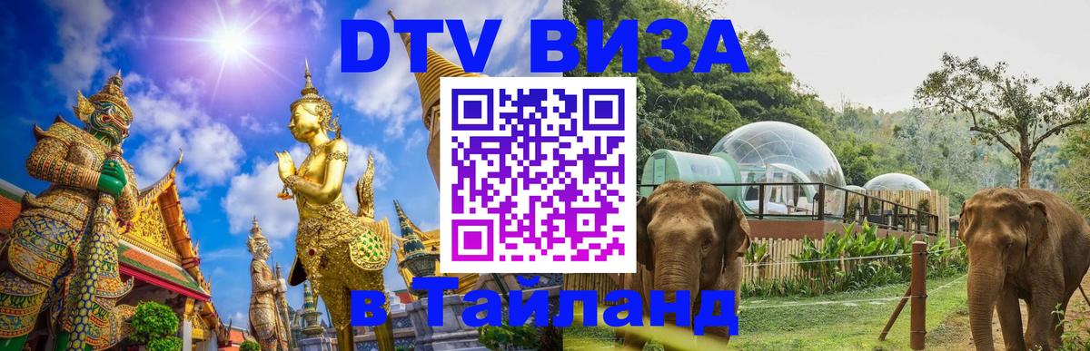 Оформление DTV визы под ключ: стоимость и тарифы, только загранпаспорт - Душанбе  06.10.2025 